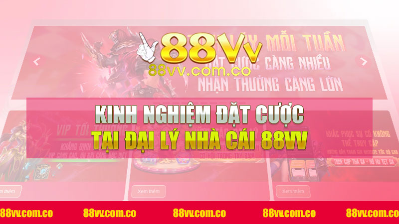 Kinh Nghiệm Đặt Cược Tại Đại Lý Nhà Cái 88VV